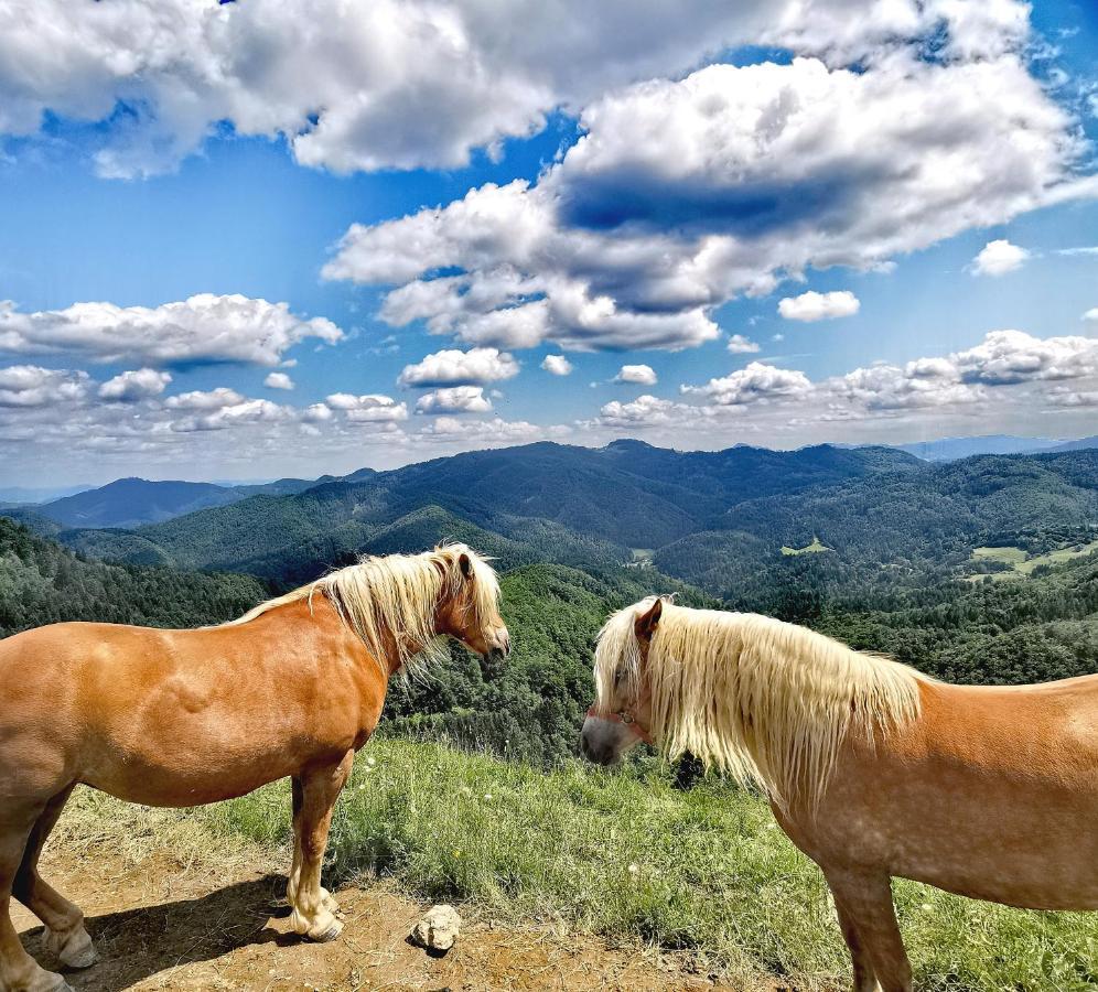 Bajta Kroparica Exteriér fotografie