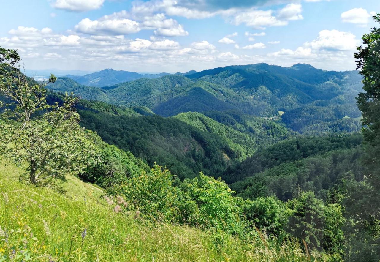 Bajta Kroparica Exteriér fotografie